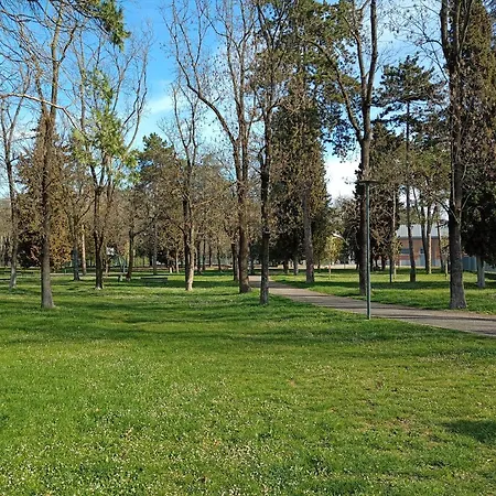 Residenza 04 Marzo Apartment Bologna